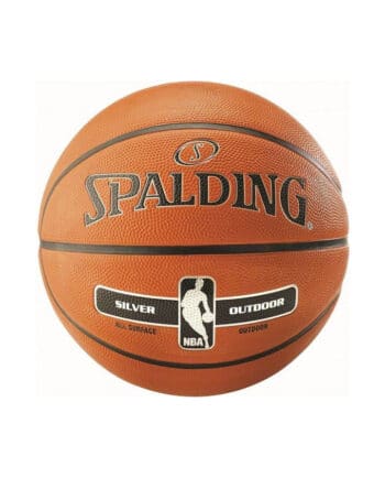 Basketbal Spalding NBA silver